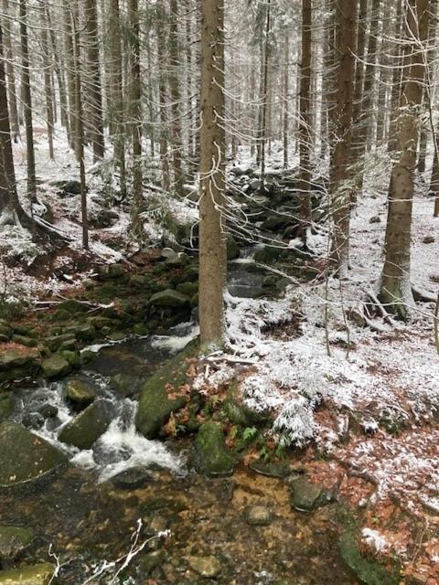 Harrachov 702 Apartman Kültér fotó
